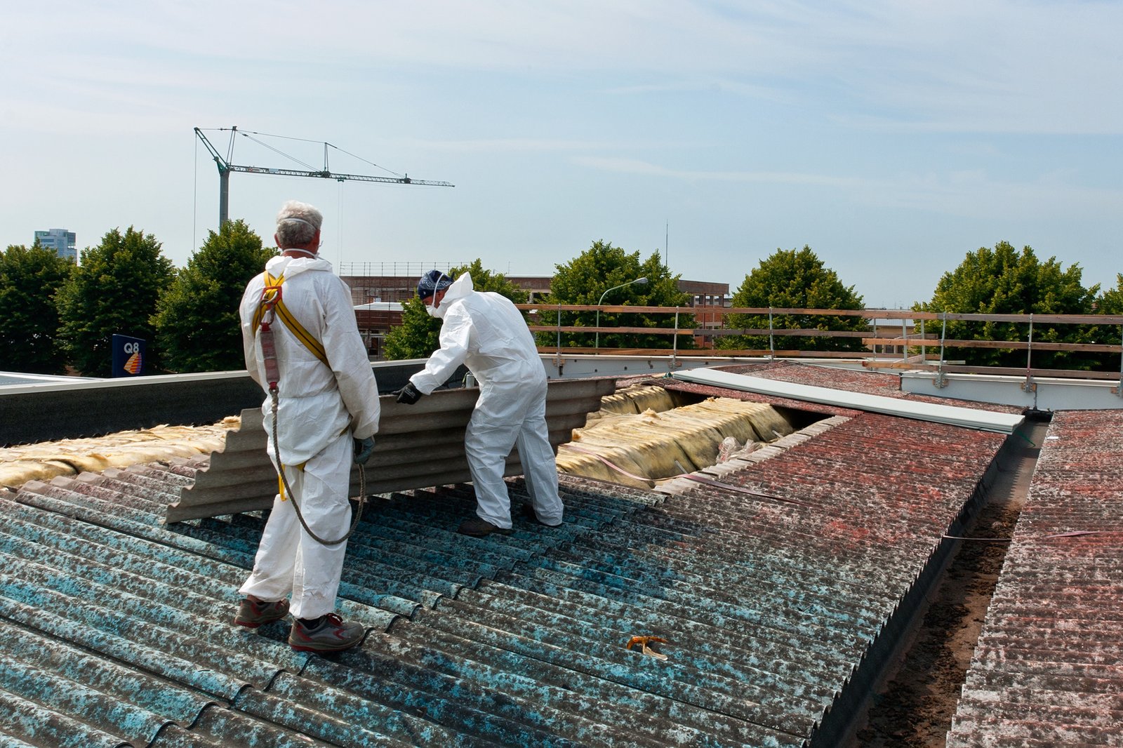 Navigating Local Asbestos Regulations