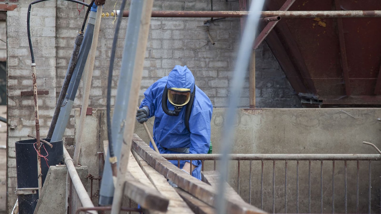 What Happens During Asbestos Testing