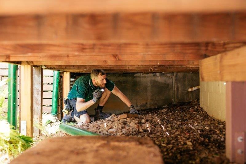 What Happens During a Termite Inspection