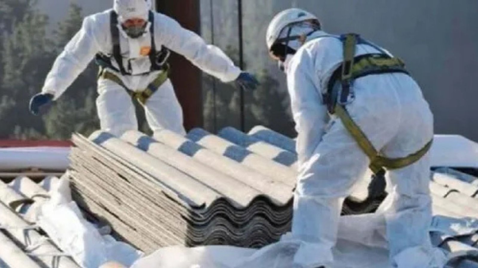 Why Certified Asbestos Testing Professionals Are Important